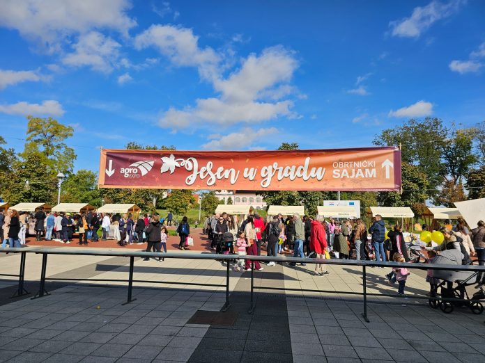 558511352_1233054735515693_1996537888953151348_n