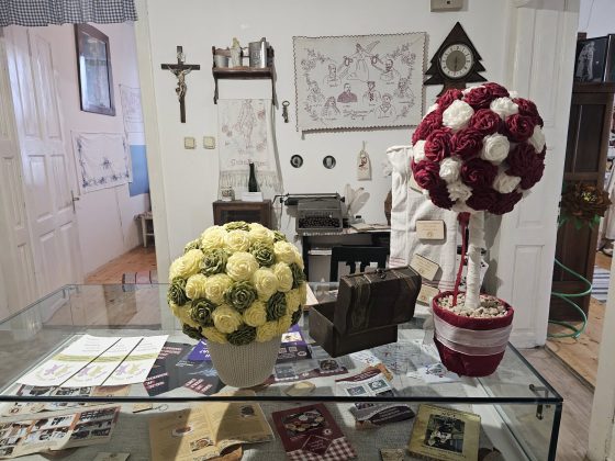 585522372 1268314548656378 91768949677409644 n