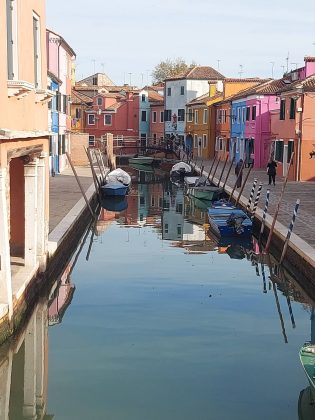 IMG 5d0ff3c4ec280321515cf102c4f43b03 V