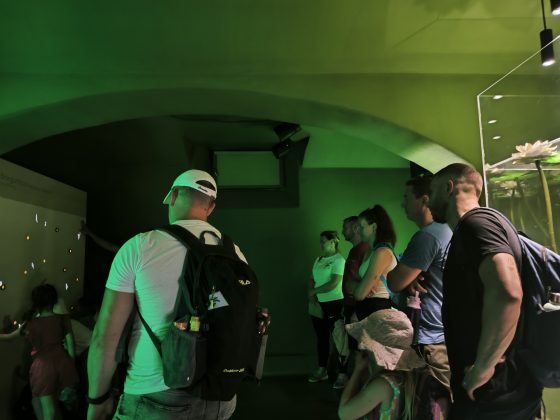 IMG 20260620 130607